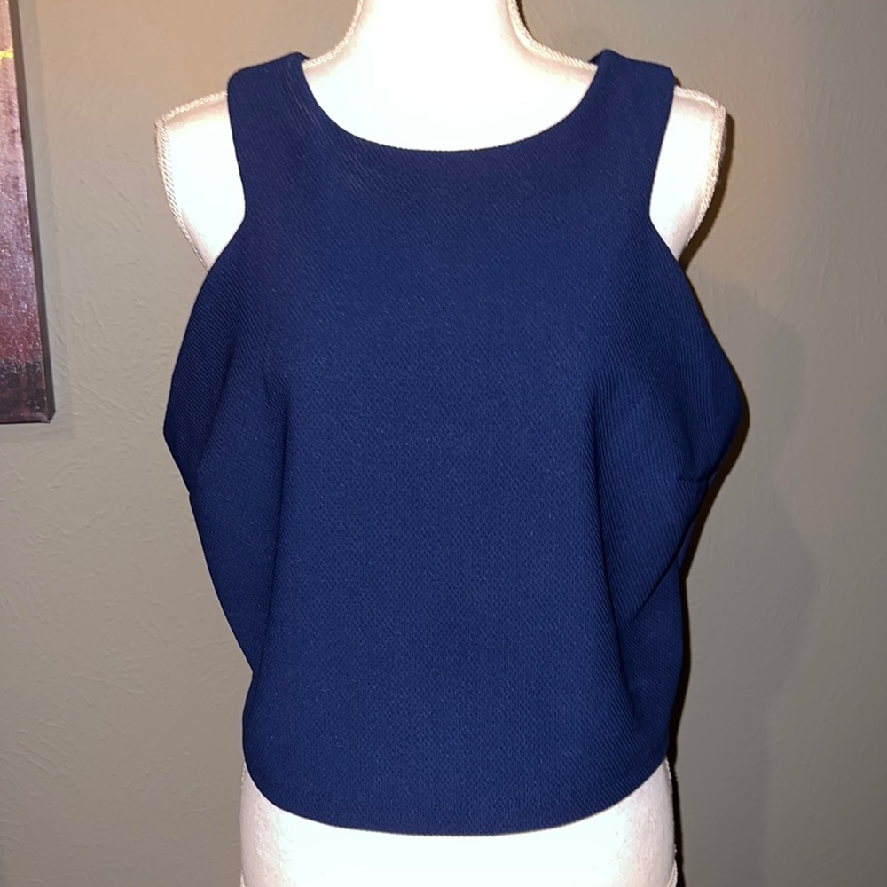 Sexy crop top. Perfect with a high waiter skirt/pant or jeans